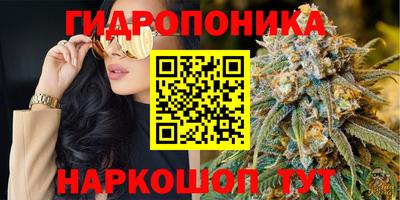 прущая мука Тверь