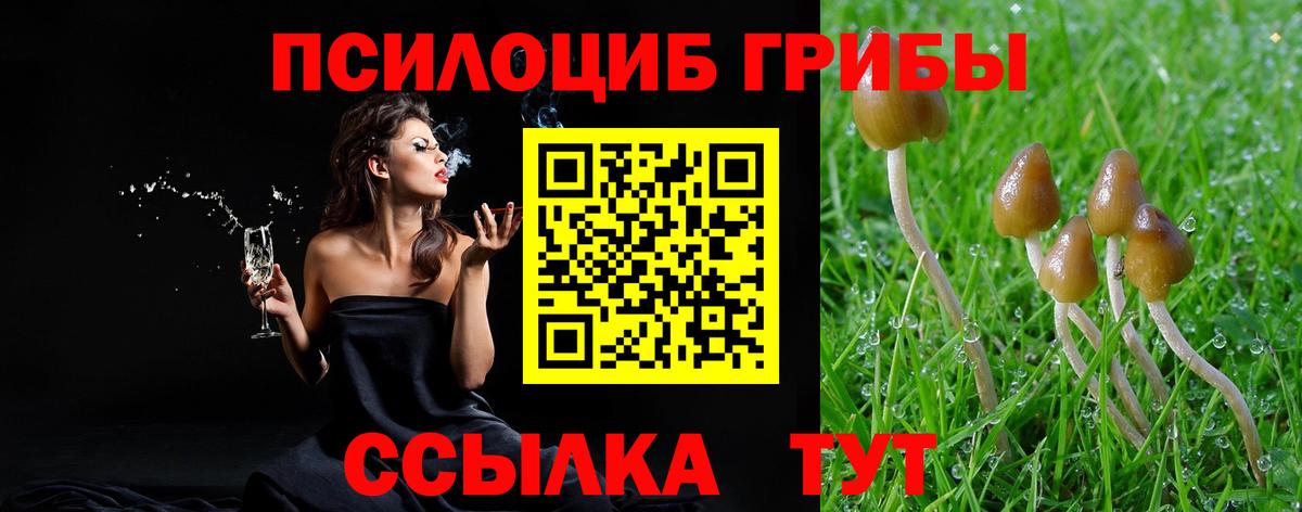 Галлюциногенные грибы Cubensis  Псилоцибиновые грибы Psilocybine cubensis  Вход с VPN  Фурманов 